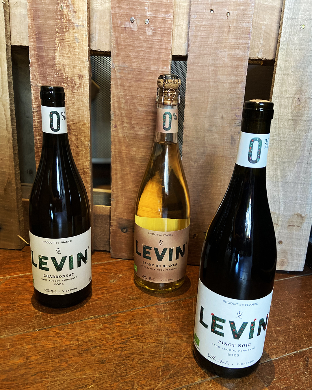 Levin